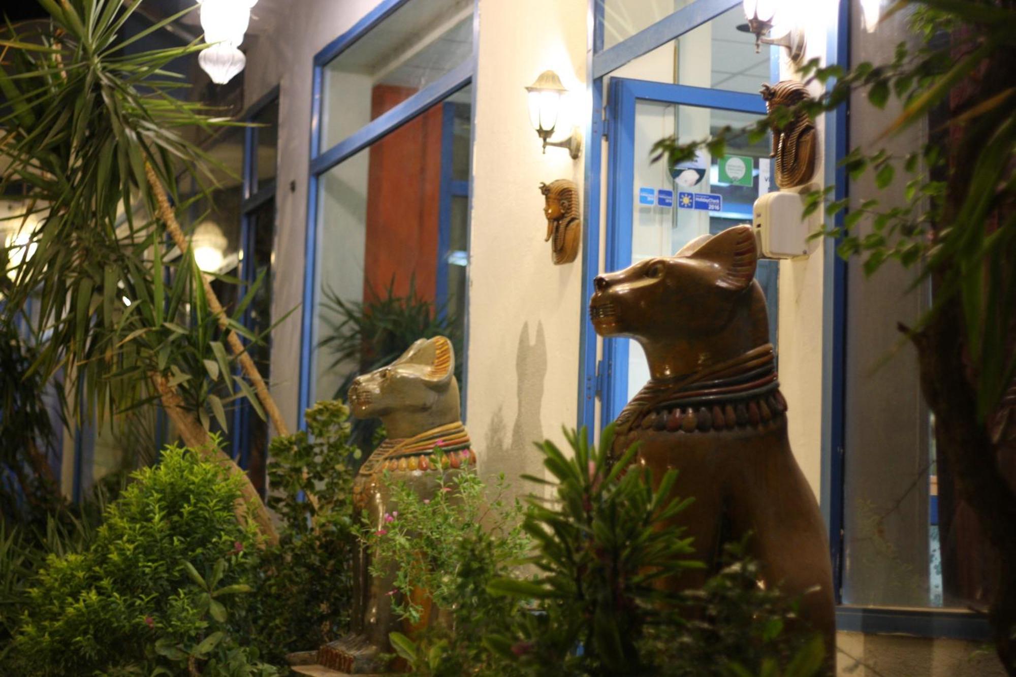 El Gezira Garden Hotel Luxor Eksteriør billede