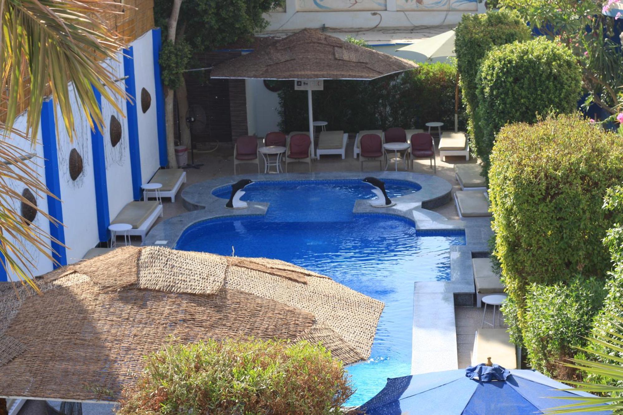 El Gezira Garden Hotel Luxor Eksteriør billede