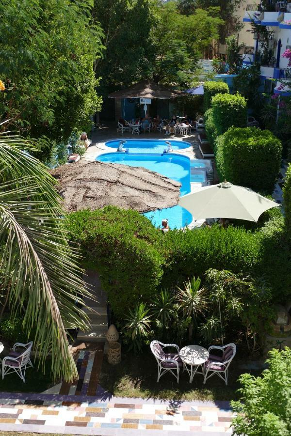 El Gezira Garden Hotel Luxor Eksteriør billede